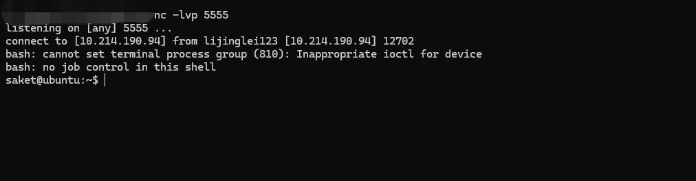 image-20251025220458302