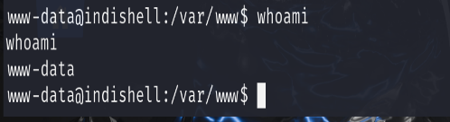 image-20251127170958858