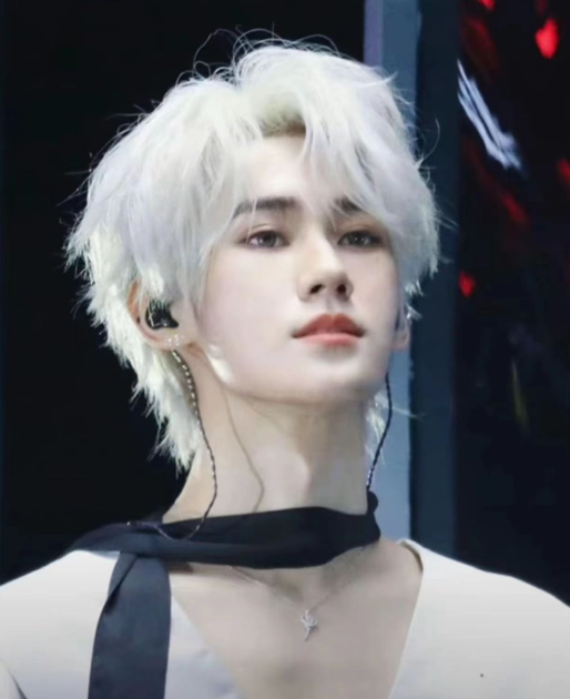 image-20251127181640839