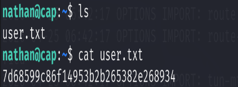 image-20260425184807859
